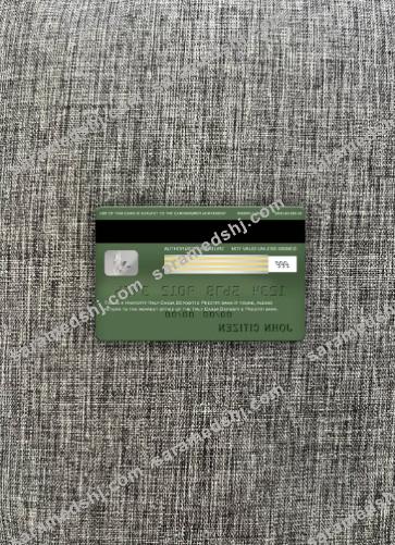 Italy Cassa Depositi e Prestiti bank visa classic card photolook back